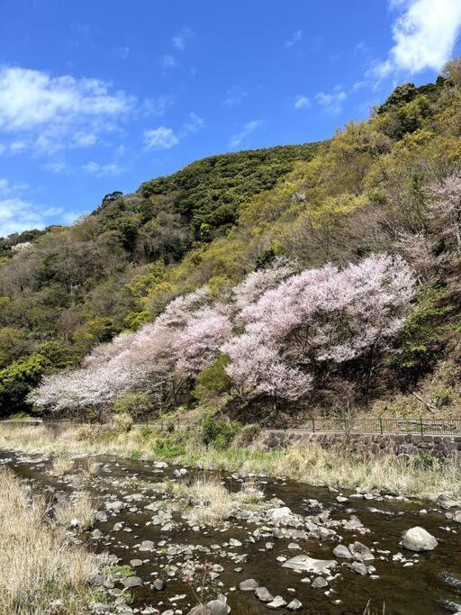 沼津戸田湾の古民家一軒貸切宿 釣り ハイキング 海水浴 ツーリングにおすすめ المظهر الخارجي الصورة